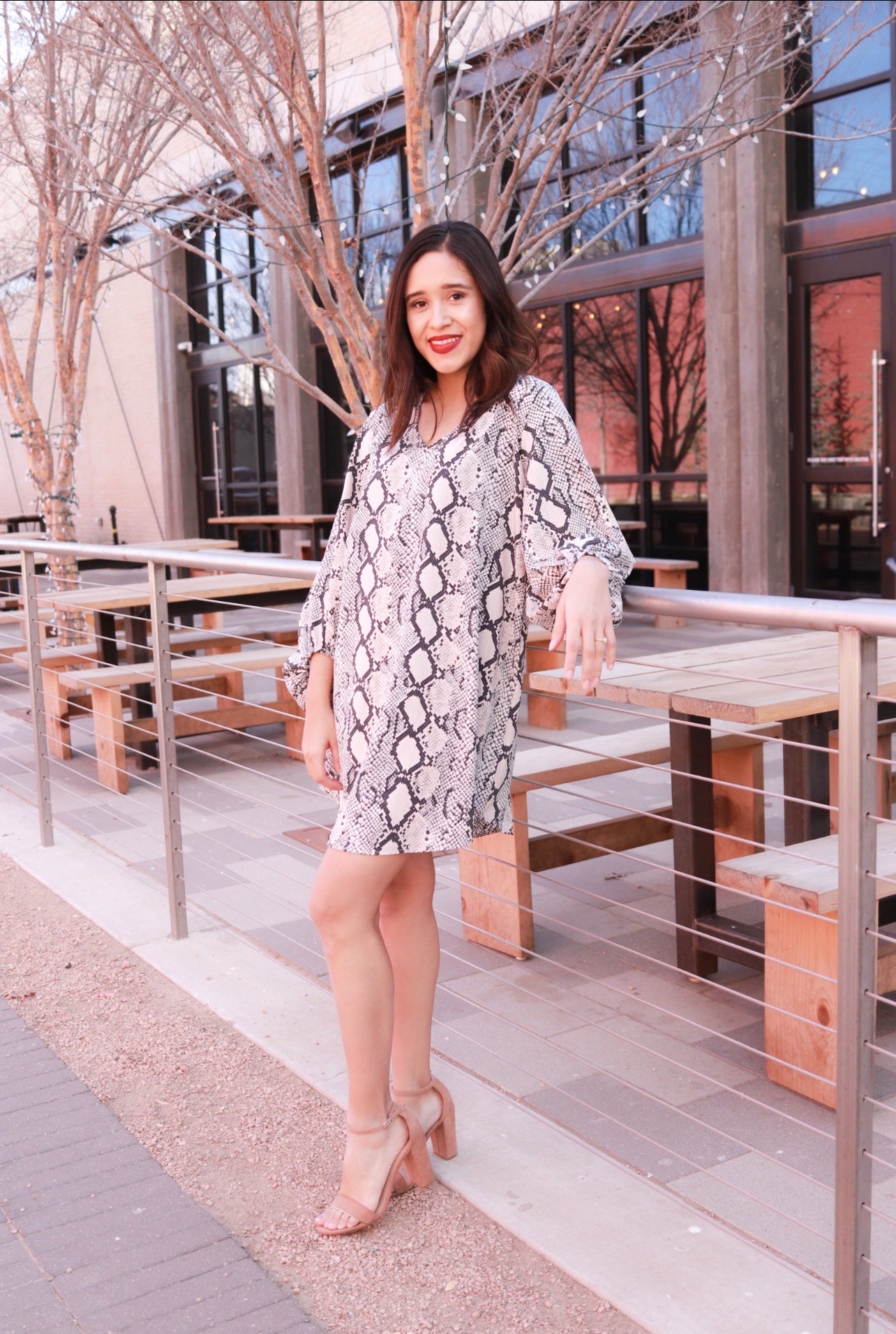 PRESTON GRAY SNAKE PRINT DRESS SMALL PRESTON GRAY SNAKE PRINT DRESS SMALL