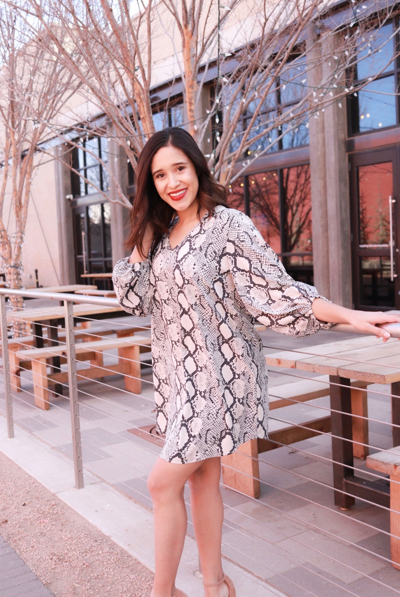 PRESTON GRAY SNAKE PRINT DRESS