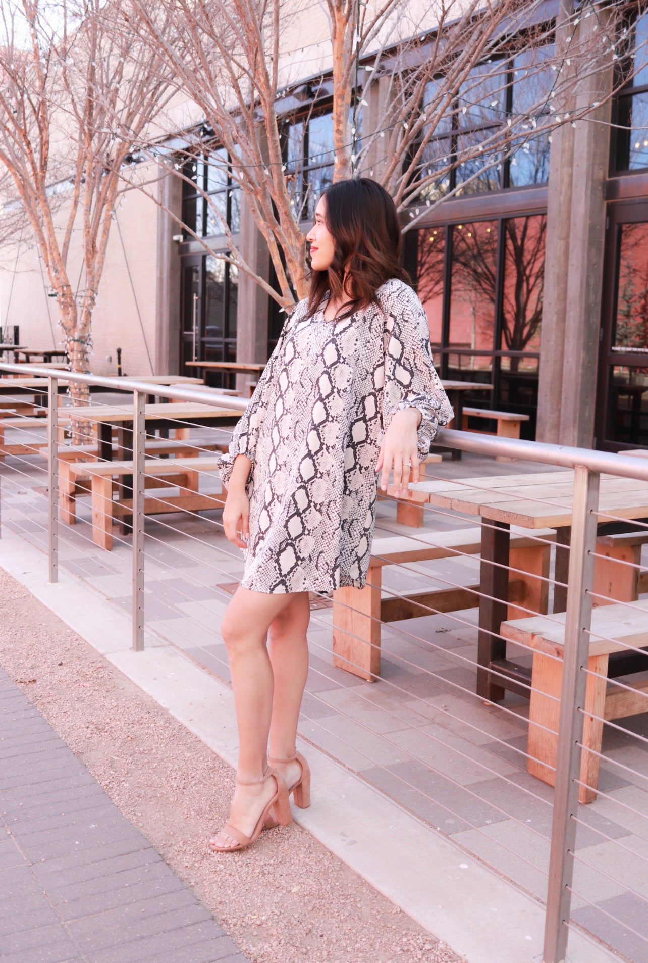 PRESTON GRAY SNAKE PRINT DRESS